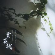 赏花钱（《穿堂惊掠琵琶声》同人曲）