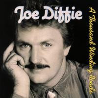 New Way (To Light Up an Old Flame) - Joe Diffie (Karaoke Version) 带和声伴奏