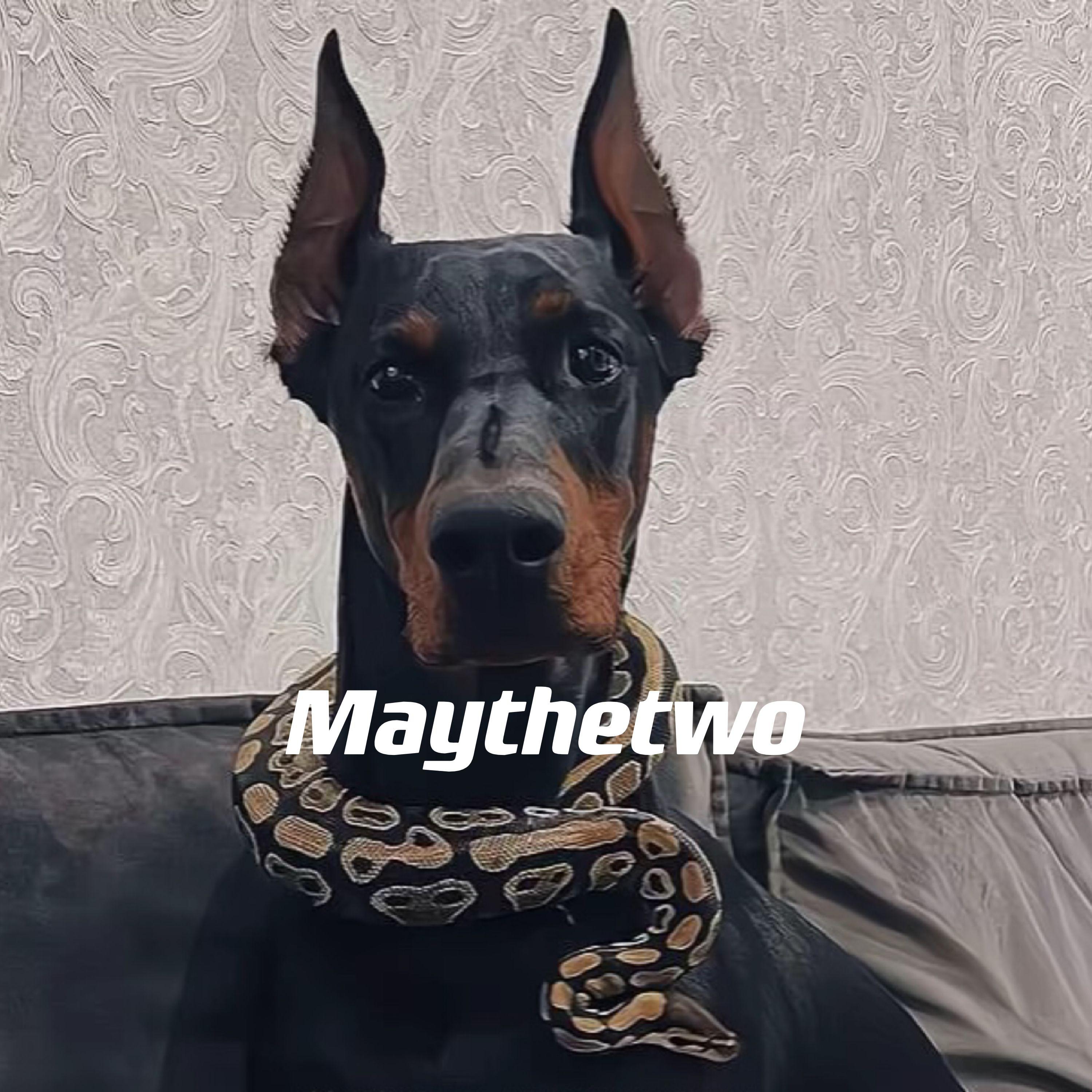 Maythetwo