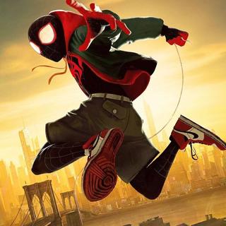 Spiderman-蜘蛛侠平行宇宙
