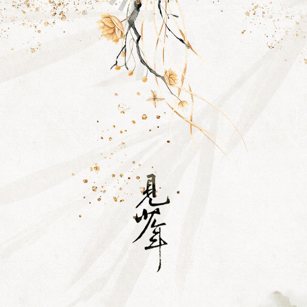 见少年（秦霄贤生贺）