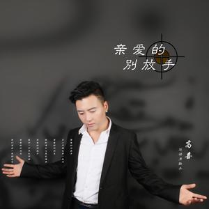 亲爱的别放手--高喜（原版伴奏） （升8半音）