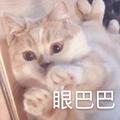 静悄悄【真·御姐版】