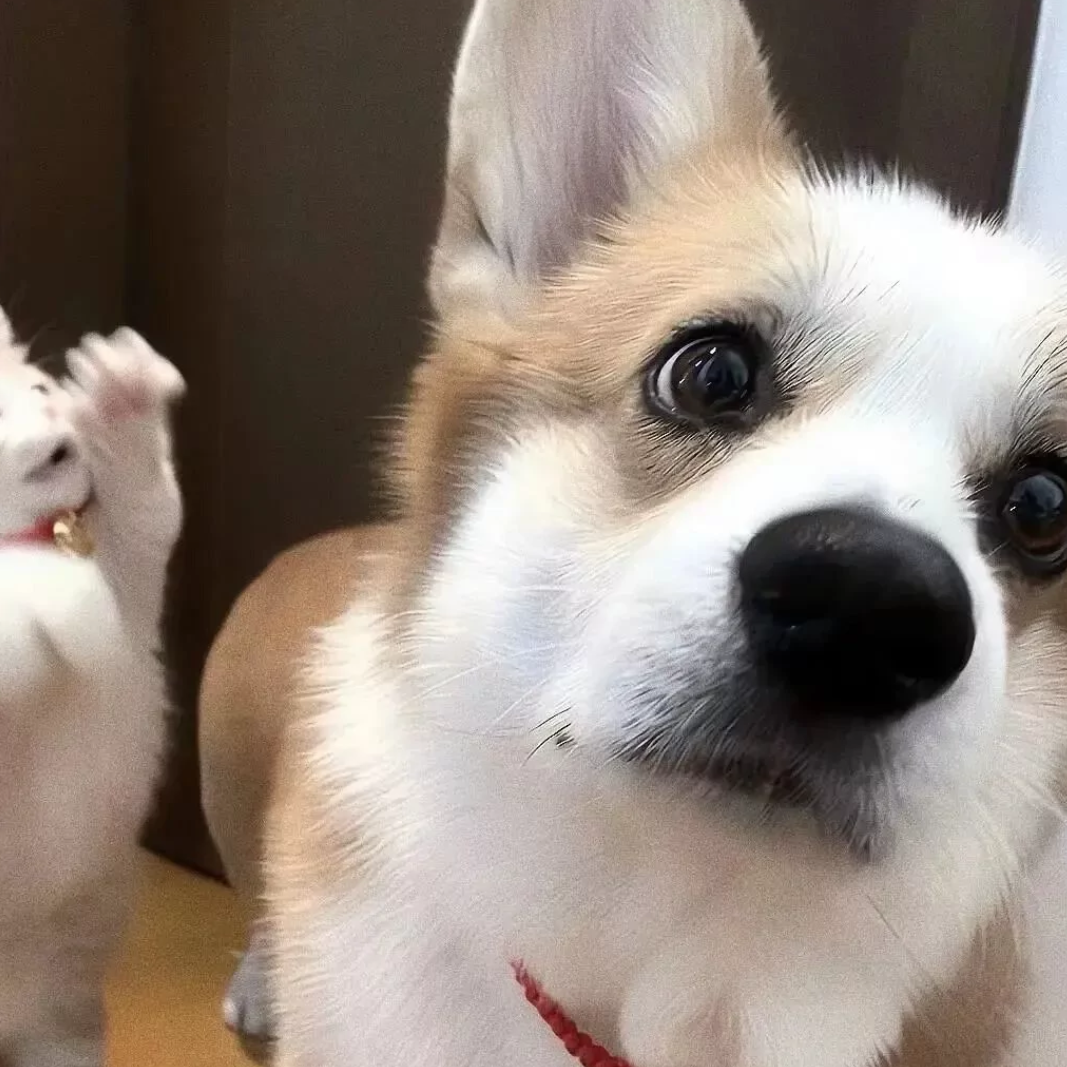 学不会（Breakbeat）