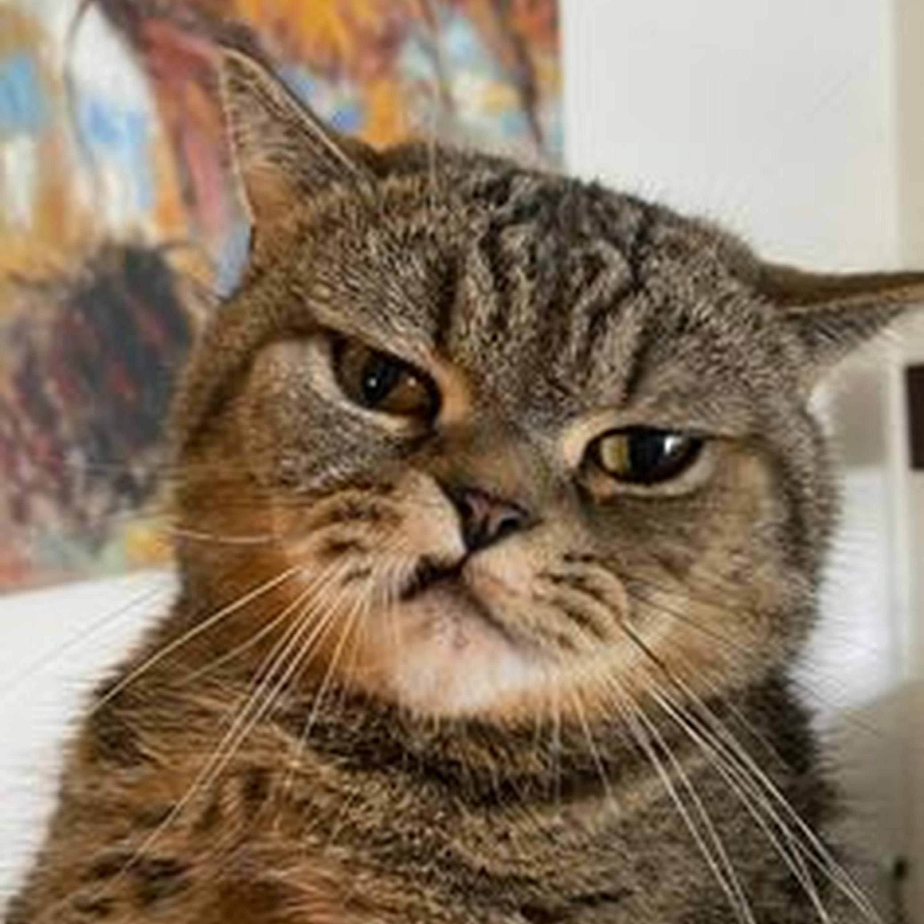 On Shade 45 Part 2 (slowed)