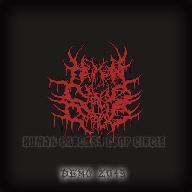 Demo 2013