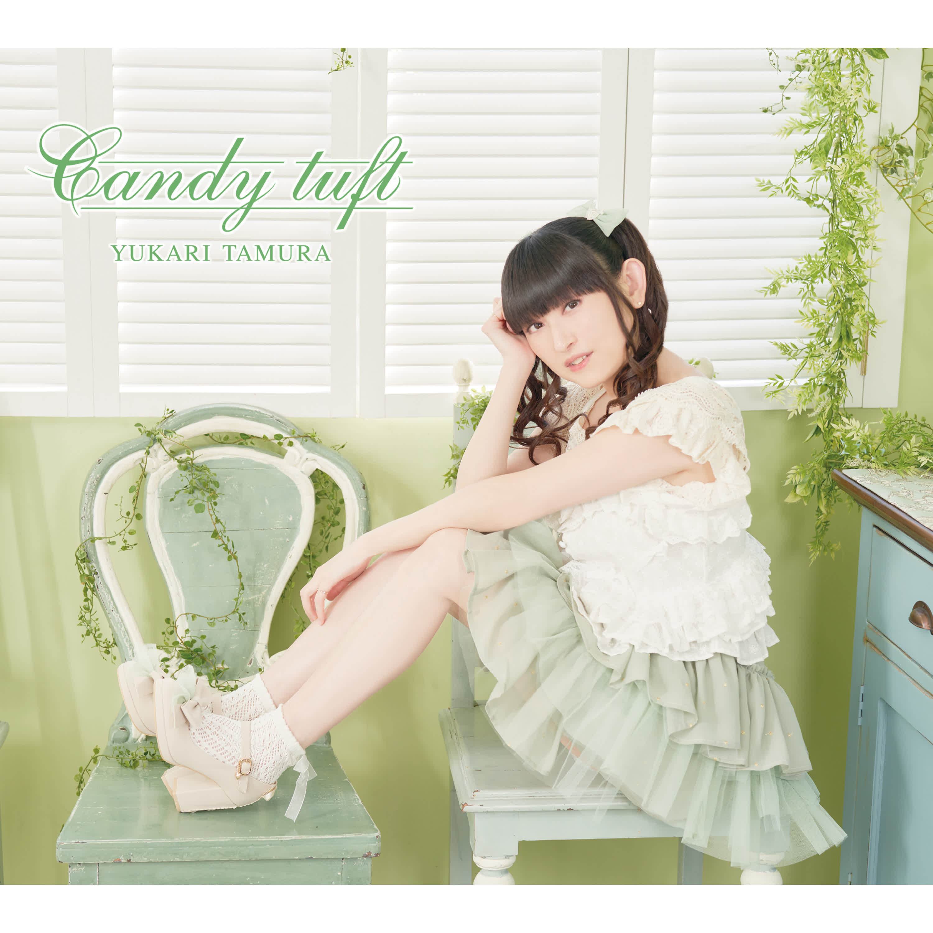 Candy tuft