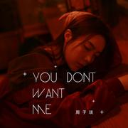 You Dont Want Me (伴奏)