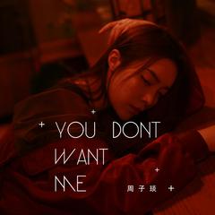 You Dont Want Me (伴奏)