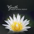 Gentle Meditation Music – Chakra Music, Ambient Yoga, Soothing Sounds for Meditation, Sleep, Spa, Re