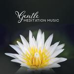 Gentle Meditation Music – Chakra Music, Ambient Yoga, Soothing Sounds for Meditation, Sleep, Spa, Re专辑