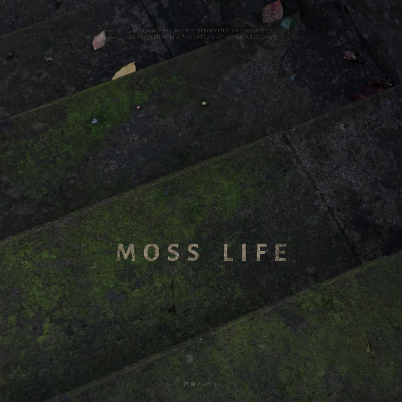 蘚人为知 MOSS LIFE专辑