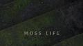 蘚人为知 MOSS LIFE专辑