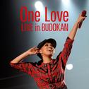 One Love (2012.06.22 @ Nippon Budokan)专辑