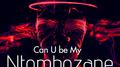 CAN U BE MY NTOMBOZANE GIRLFRIEND专辑