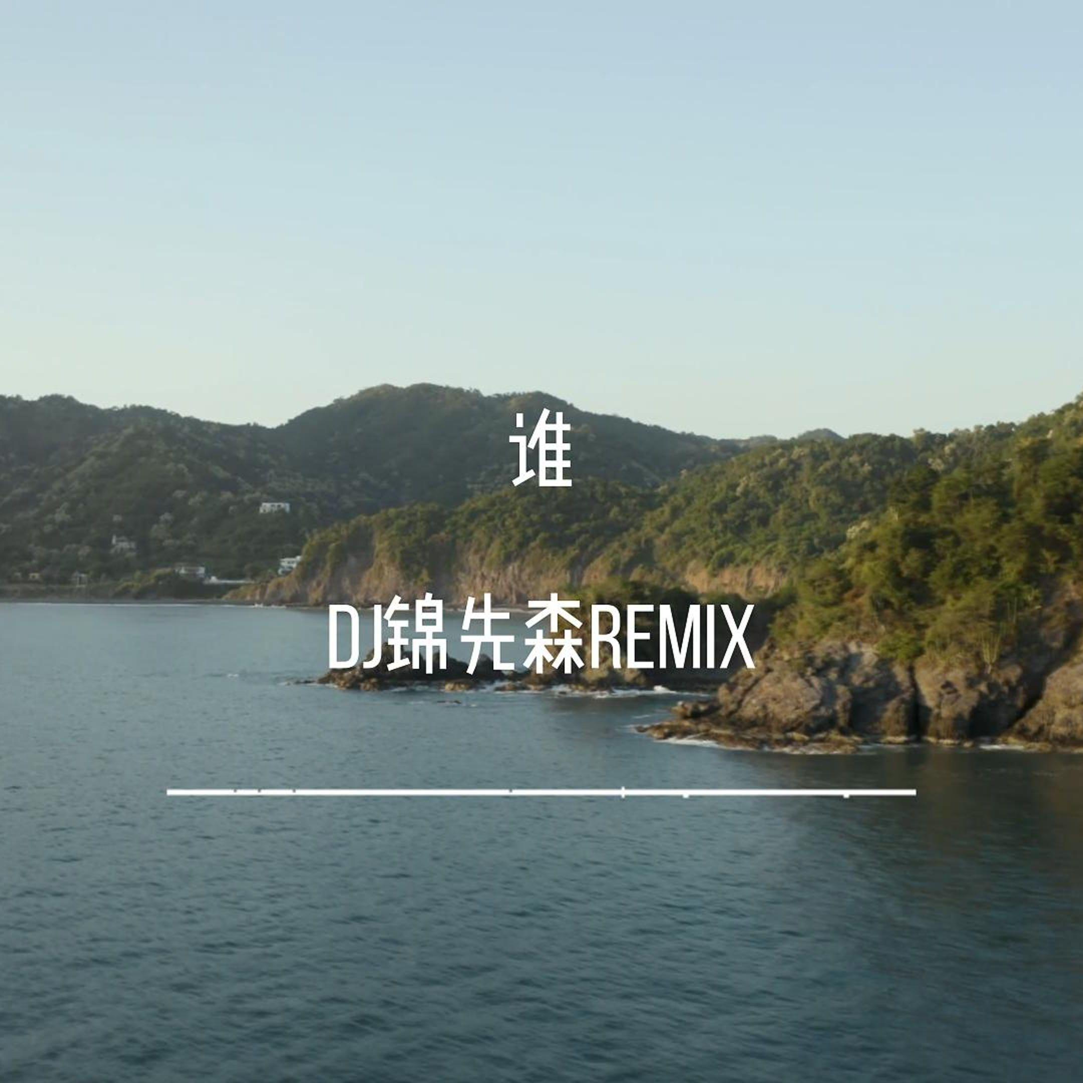 曾至锋 - 谁（DJ锦先森 Remix）