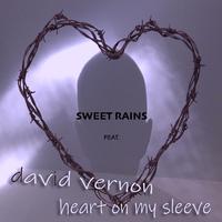 Sweet Rains ft David Vernon - Heart On My Sleeve (Instrumental) 原版无和声伴奏