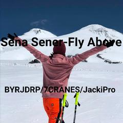 Sena Sener-FIy Above