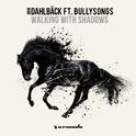 Walking With Shadows (Remixes)专辑