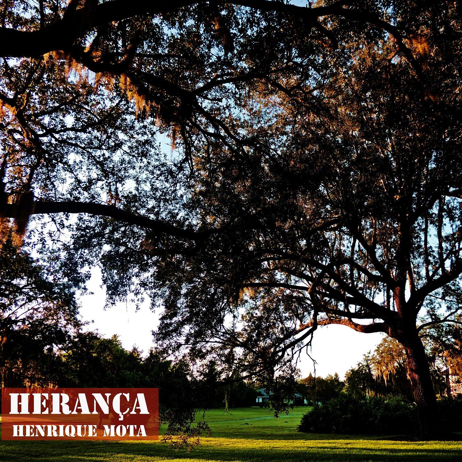 Henrique Mota - Herança