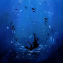 深海回旋专辑