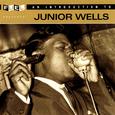 An Introduction To Junior Wells