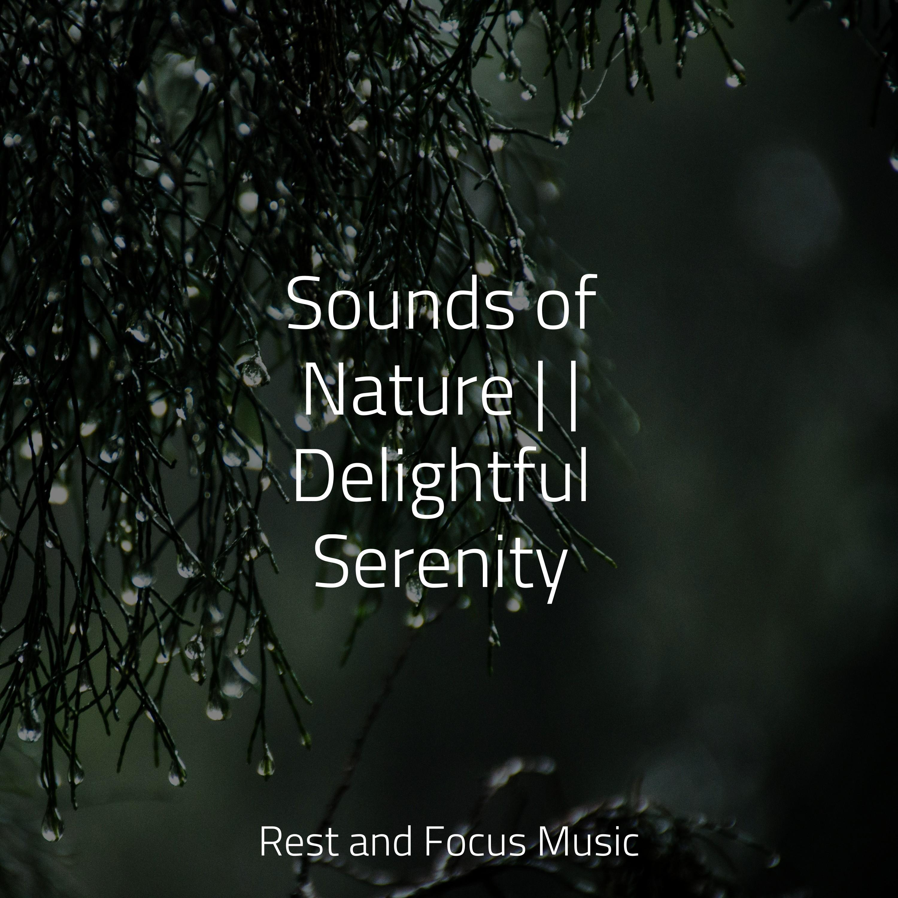 Sounds of Nature | | Delightful Serenity