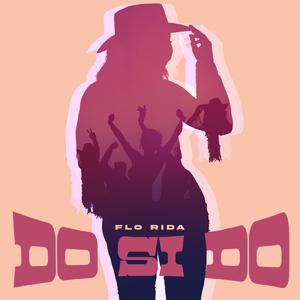Flo Rida - Do Si Do (Pre-V) 带和声伴奏 （降6半音）