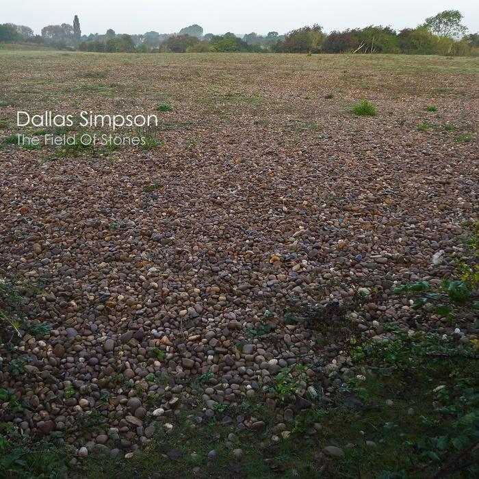 The Field Of Stones