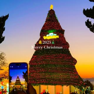 冬日落幕 | 黄昏 晚霞 安稳度过每秒时光