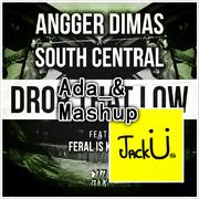 Drop That Low & Jungle Bae （Ada_& Mashup)