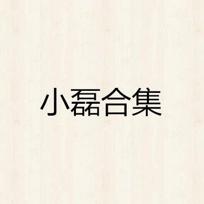 小磊合集