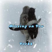 missing on you