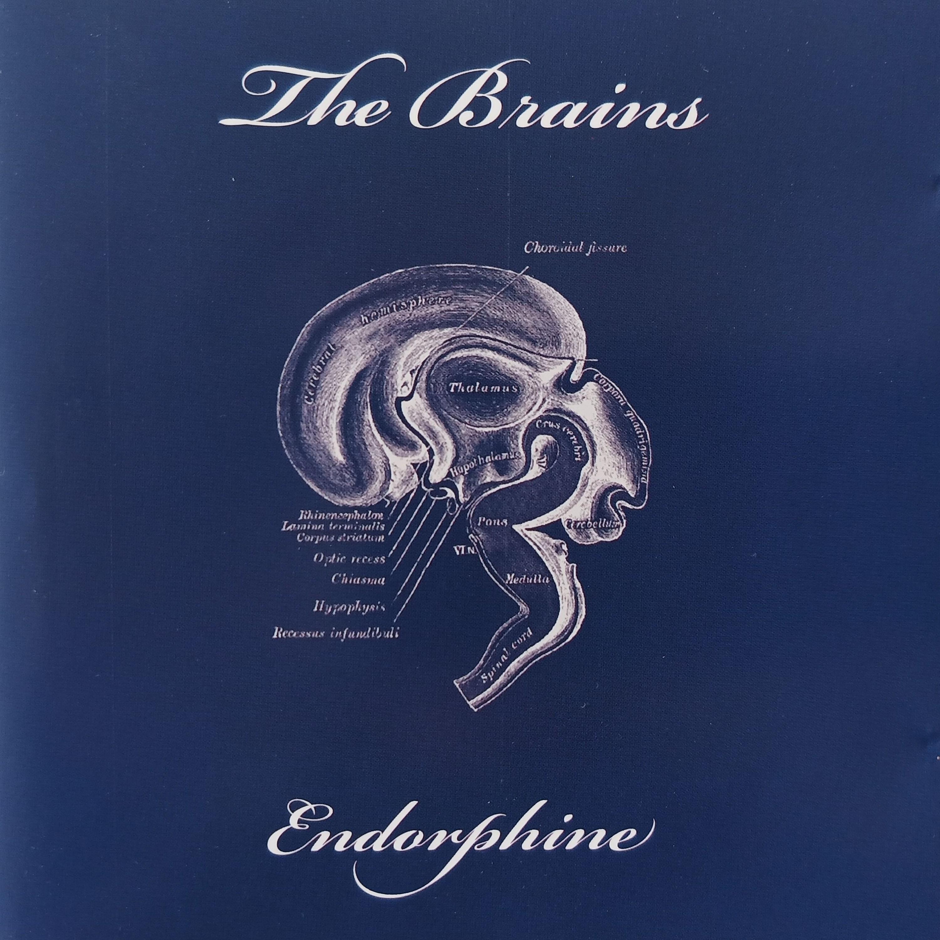 Endorphine