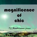 magnificence of chic专辑