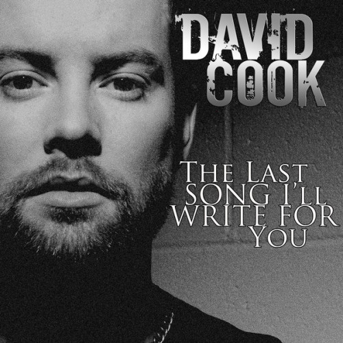The Last Song I'll Write for You