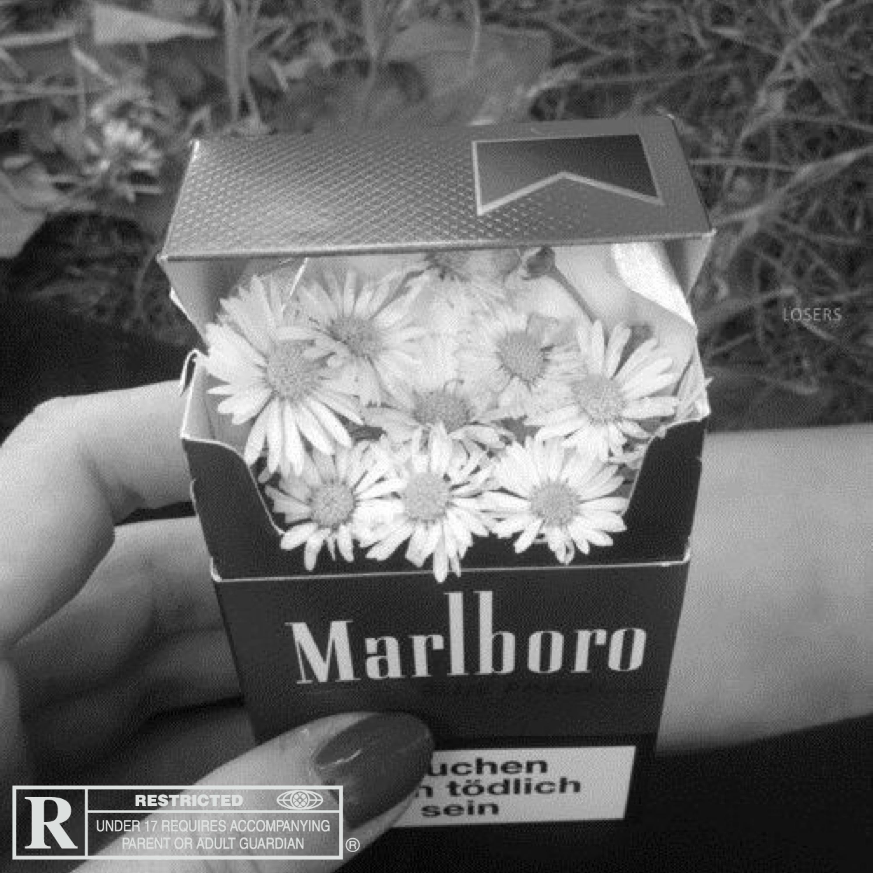 Nicotine (feat. Roan)