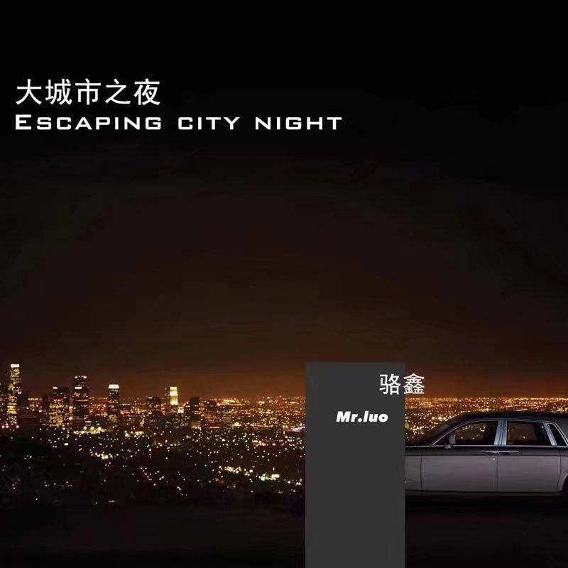 大城市之夜专辑