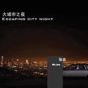 大城市之夜