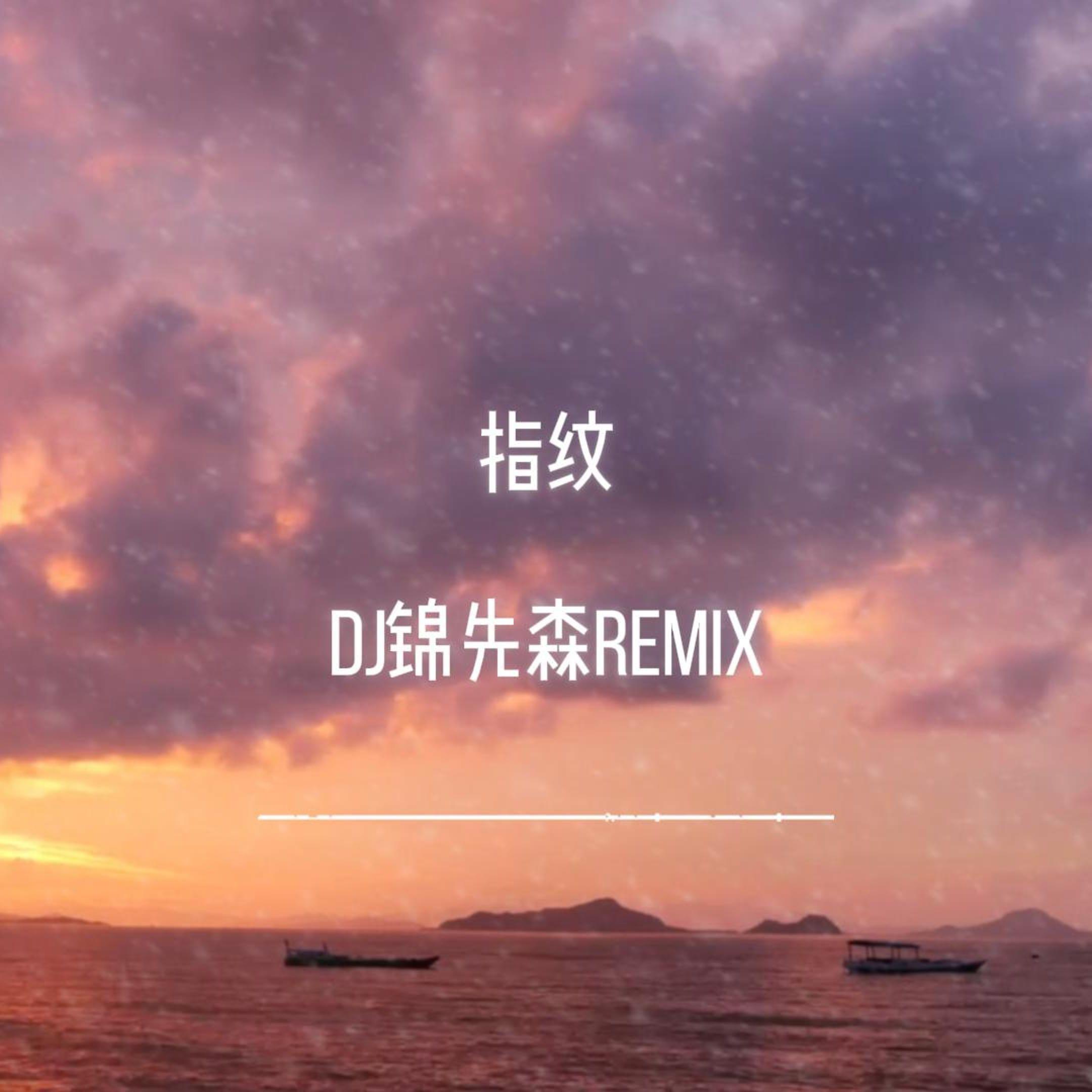 指纹（DJ锦先森 Remix）