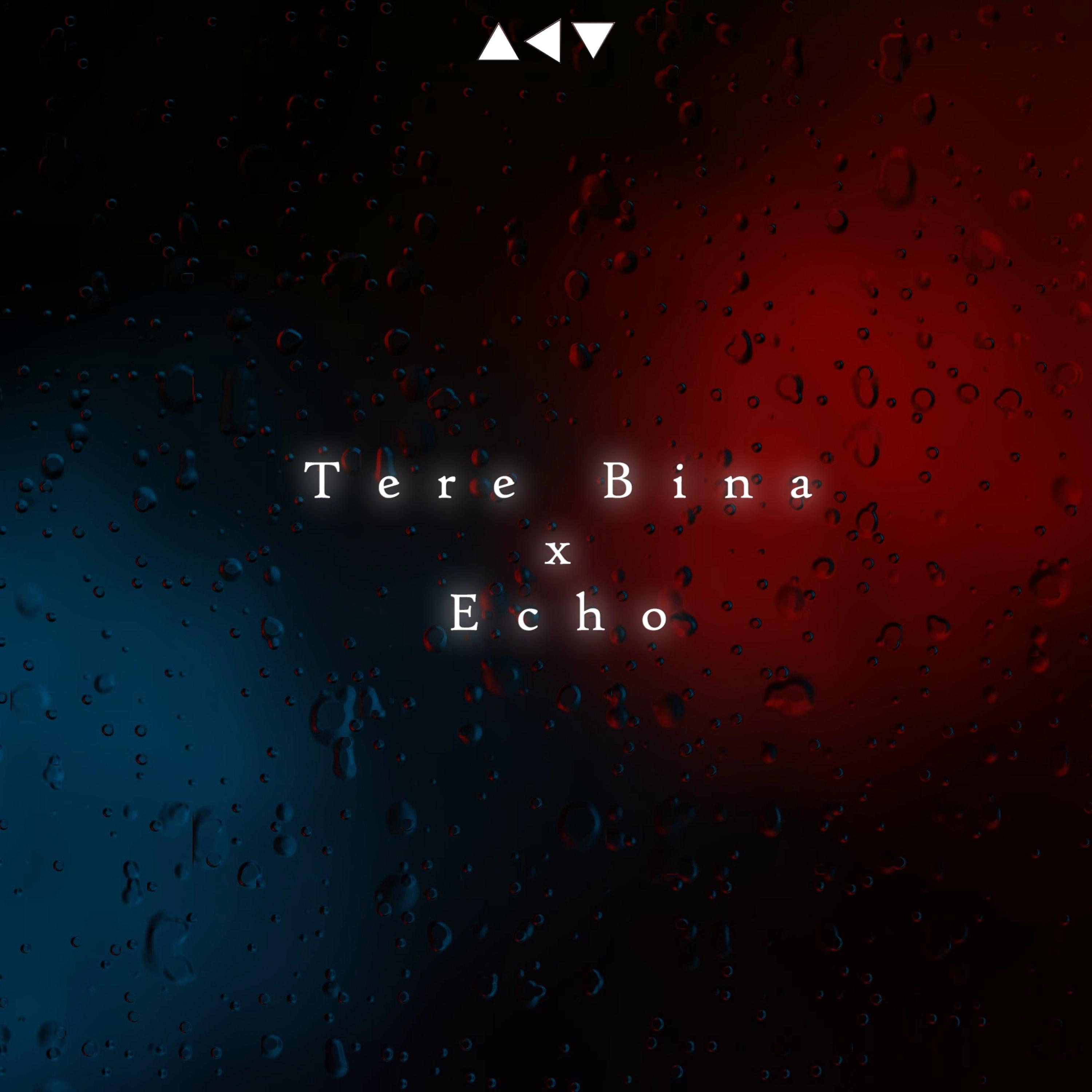 Tere Bina x Echo Lofi