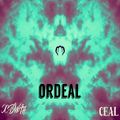 Ordeal(Original Mix)