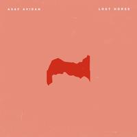 Asaf Avidan - Lost Horse