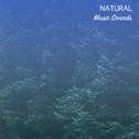 #17 Natural Music Sounds for Yoga专辑