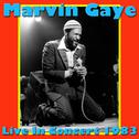 Marvin Gaye- Live In Concert 1983 (Live)专辑