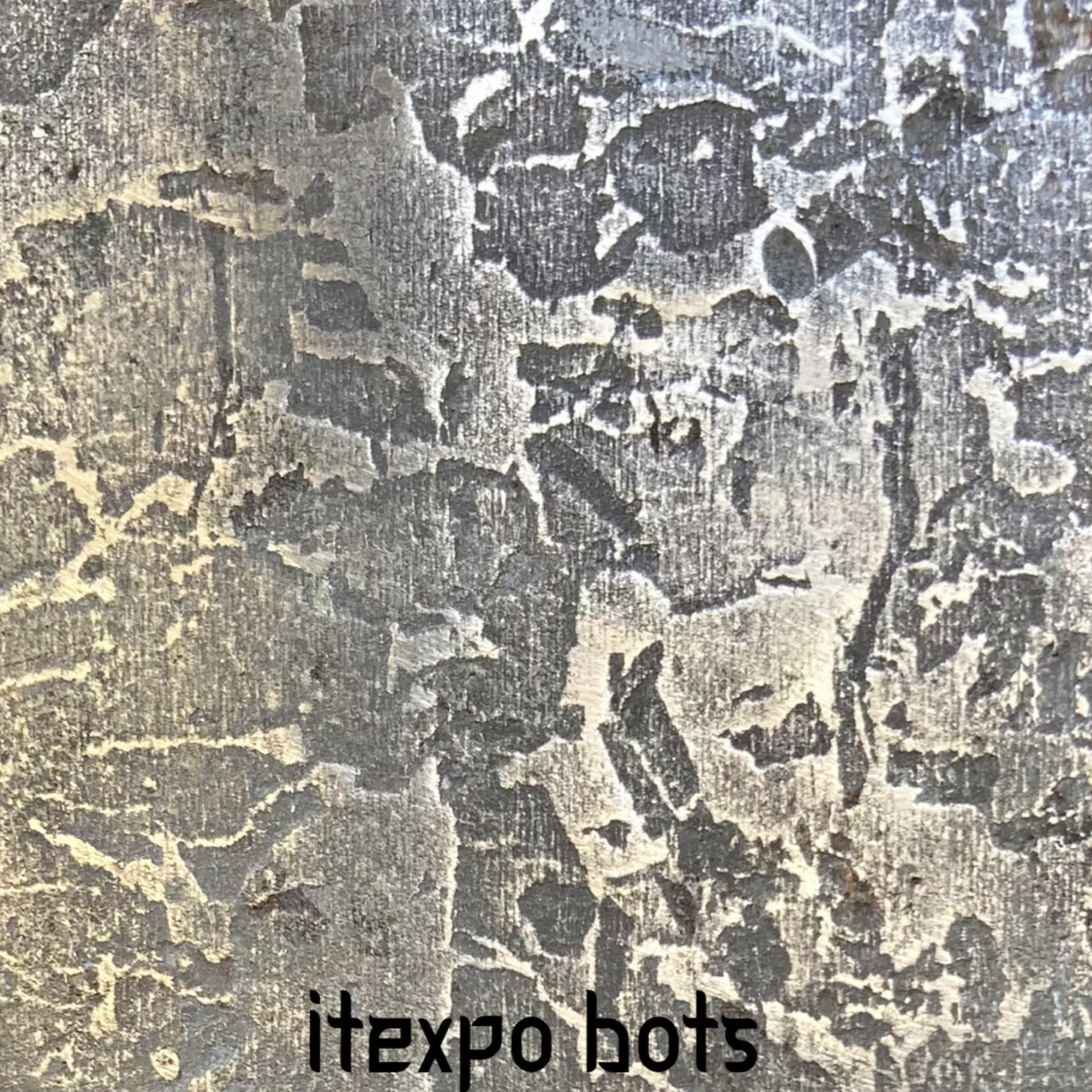 itexpo bots