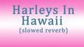 harleys in hawaii (slowed reverb)专辑