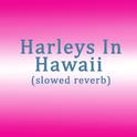 harleys in hawaii (slowed reverb)专辑