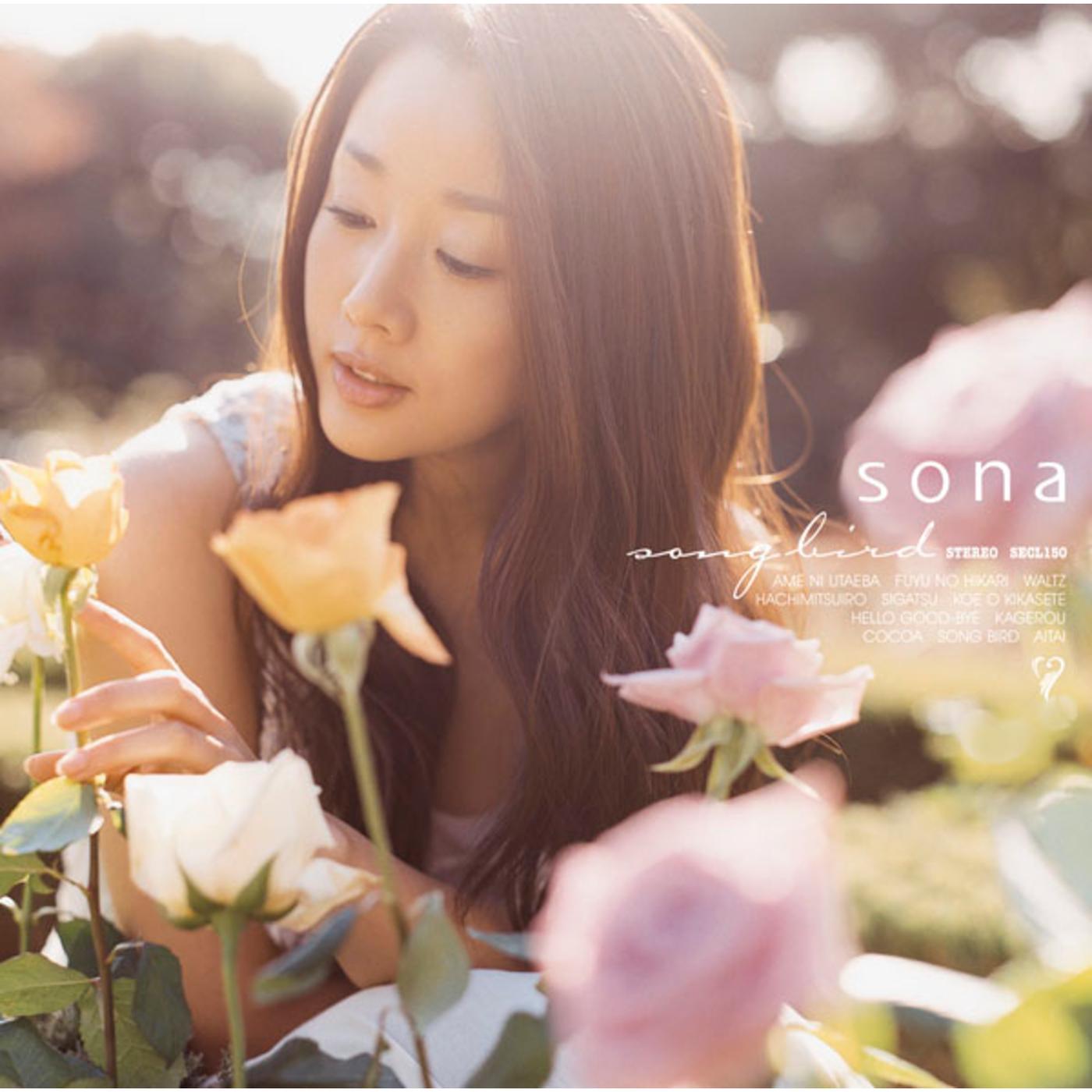 song bird