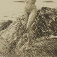 SyneaWeed